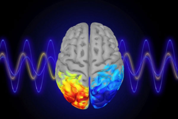 digital illustration of brain and brainwaves